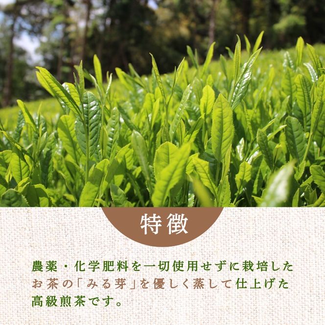 煎茶 No.01 10本 お茶 ミル ポーレックス セット 完全有機栽培 有機JAS 高級 熟成 焙煎 有機 オーガニック お茶 日本茶 飲料 小分け 健康 飲み物 贈り物 ギフト 静岡県 藤枝市 