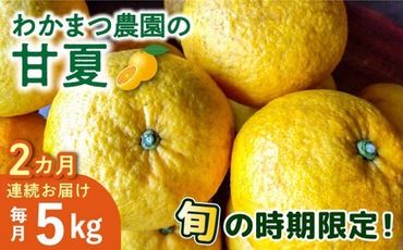 [全2回定期便][有機栽培]甘夏 5kg 栽培期間中 農薬不使用 糸島市 / わかまつ農園 果物 フルーツ 