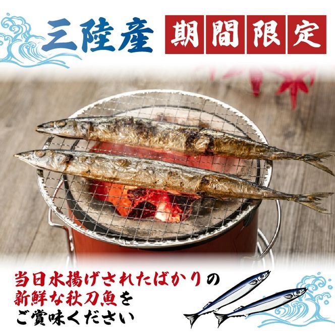 y茧Dnszy2025Ns\z 󂠂 N 2kg ① H  Ԍ { ȒP Ă ϋ tC  ܂ ӎ   CY CN   O 茧 Dns [daisei002]