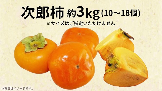 次郎柿 3kg 【2026年9月上旬発送開始】(茨城県共通返礼品：大子町) 柿 かき カキ 次郎柿 完全甘柿 秋の味覚 果物 フルーツ 旬