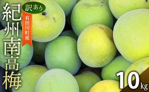 青梅 10kg 訳あり 紀州南高梅 シロップ・梅酒・梅干し用等 和歌山県有田産 2026年5月下旬～7月上旬発送予定 CE063