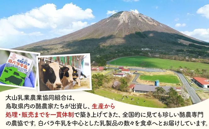 1011.大山おいしいギフトミルク＆のむヨーグルト 313726_AH019