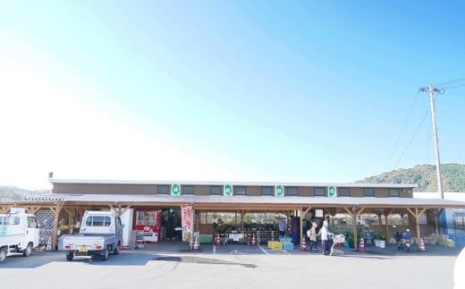 取りたて新鮮！旬の野菜詰め合わせセット