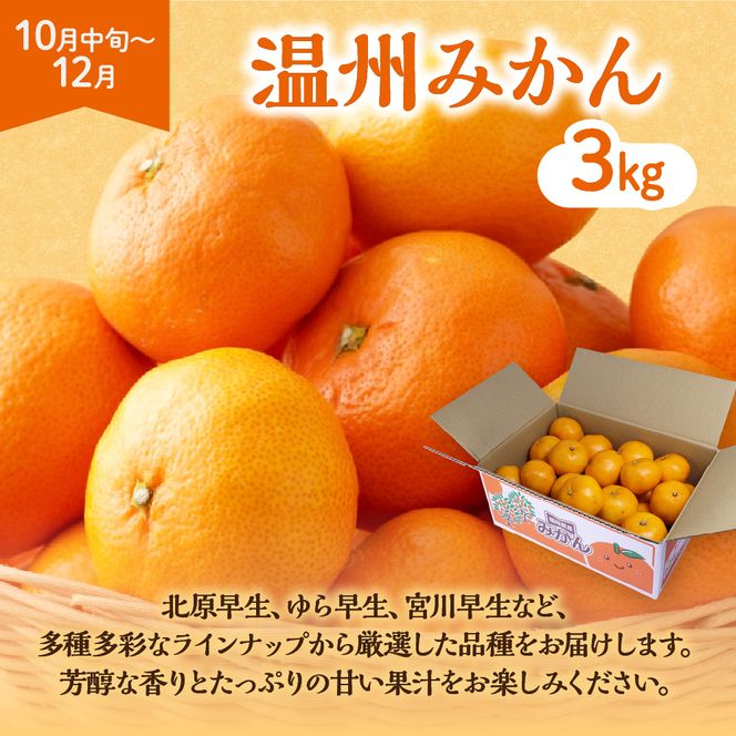 【定期便/年4回】ＪＡむなかた厳選！人気のフルーツ定期便【ほたるの里】_HB0140