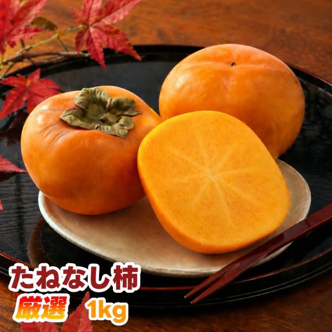 たねなし柿 1kg 厳選 / 柿 刀根早生 平核無柿 富有柿 ※2026年9月下旬から11月上旬に順次発送 ※北海道・沖縄・離島への配送不可  【ikd504-p-1】