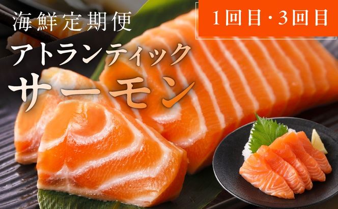 nbj0005 人気海鮮定期便 サーモン／真鯛 食べ比べ 全4回【毎月配送コース 小分け 訳あり サイズ不揃い 刺身 海鮮丼 人気 オススメ 冷凍】】