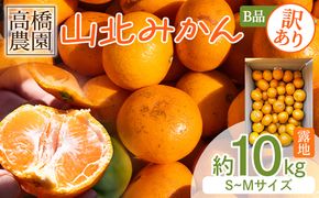 みかん 【2026年11月中旬より順次配送】10kg 訳アリ 山北みかん 露地(Ｓ～Ｍ) Ｂ品 高橋農園 訳あり - 果物 フルーツ ミカン 蜜柑 柑橘 家庭用 自宅用 新鮮 農家直送 露地 th-0027