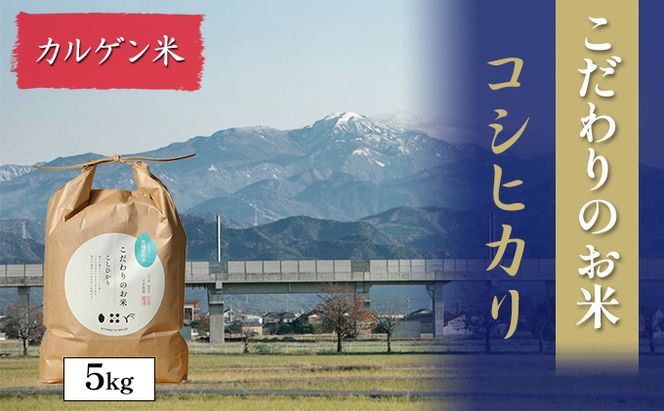 【4カ月連続でお届け】北本農場 「こだわりのお米」 令和7年度産　精米 5kg 