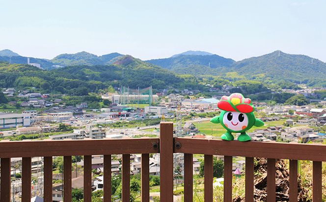 里庄町イメージキャラクター「里ちゃん」ぬいぐるみ 里庄町 里ちゃん 9000円 