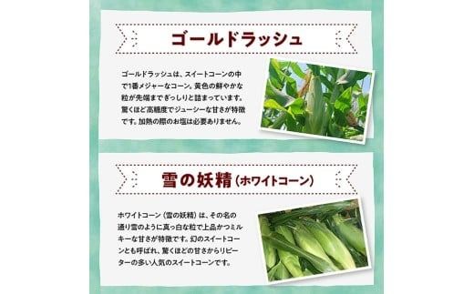 【3回定期便】※令和8年発送※ 大山さんちのスイートコーン3種（4.5kg） 【 先行予約 数量限定 期間限定 スィートコーン 2026年発送 先行受付 宮崎県産 九州産 定期便 】 [C07106t3]