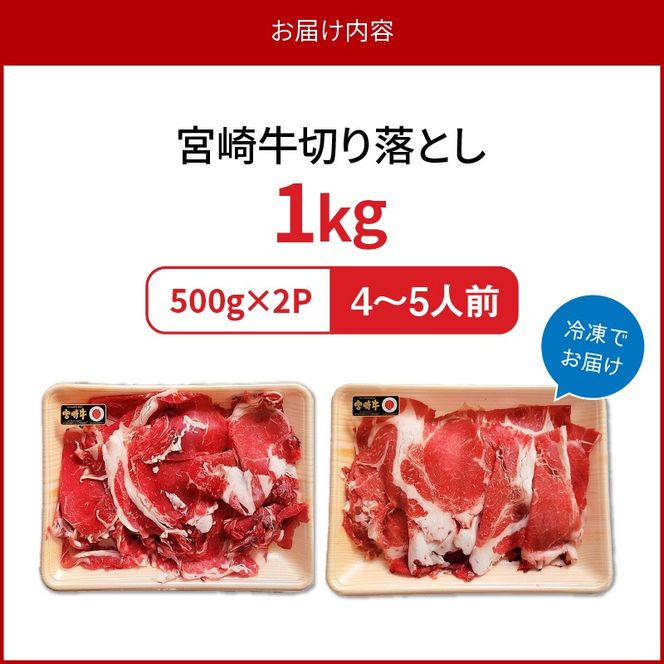 宮崎牛切り落とし1kg N0140-YA5507