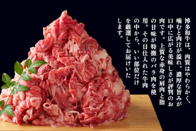 肉 博多和牛 切り落とし500g 12回 定期便 [MEAT PLUS 福岡県 宇美町 um40azp010061] ふるさと納税 牛肉 牛 肉 和牛 黒毛和牛 切落し 赤身 和牛 肩肉 牛肩 バラ肉 バラ 国産 冷凍