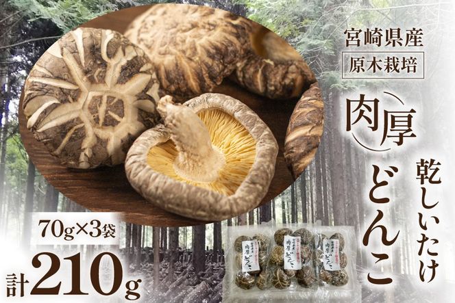 宮崎県産 原木栽培 乾しいたけ 肉厚 どんこ 70g 3袋 計210g [本吉 宮崎県 日向市 452061462] しいたけ 椎茸 乾燥 干し 国産