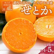 【2027年先行予約】一度は食べていただきたい 有田産のせとか 【訳あり 家庭用】 4kg～5kg (サイズおまかせ)_ZD7003