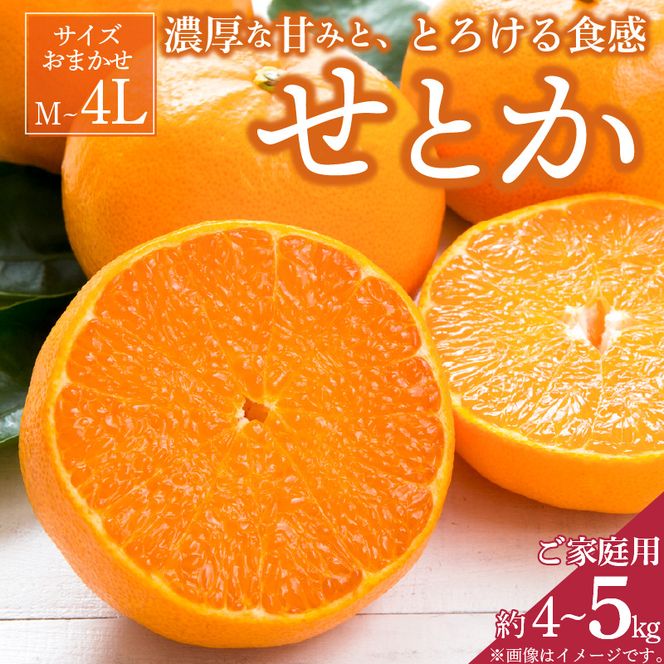 【2027年先行予約】一度は食べていただきたい 有田産のせとか 【訳あり 家庭用】 4kg～5kg (サイズおまかせ)_ZD7003