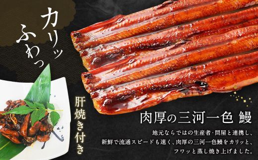 三河一色産 うなぎ蒲焼き 大5尾 合計800g以上 うなぎ 鰻 蒲焼 蒲焼き 冷凍