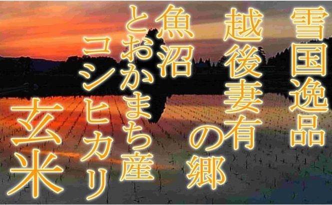 【令和8年産 先行予約】●定期便・玄米●【雪国逸品5kg×6ヶ月】 越後妻有の郷 魚沼十日町産コシヒカリ お米 ご飯 良質 ミネラル 極上 新鮮 香り つや 粘り