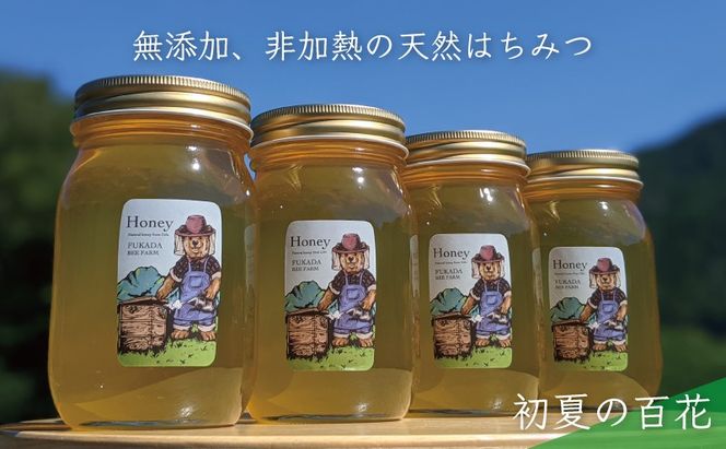 伊豆産 国産天然 非加熱 蜂蜜 モチ蜜と夏の百花蜜 600g ×2本 送料無料a 国産純粋百花はちみつ 600g 国産はちみつ 【ビン容器】 非加熱