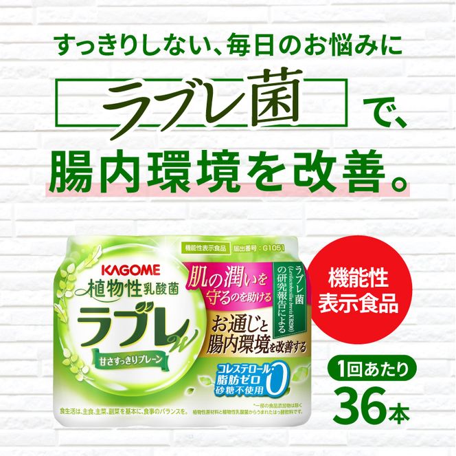 【2ヶ月に1回　計6回定期便】植物性乳酸菌ラブレW　プレーン36本（計216本） [052S04-T]
