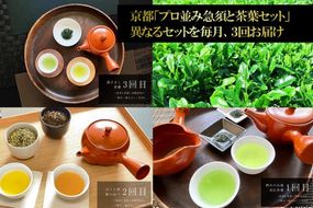 京都「プロ並み急須と茶葉セット」　初級者向け（熱め～湯さまし）全3回×3ヵ月コース〈定期便 お茶 茶 煎茶 緑茶 茶葉 雁が音 茎茶 焙じ ほうじ茶 急須 陶器 工芸品 セット〉 飲料類 加工食品 