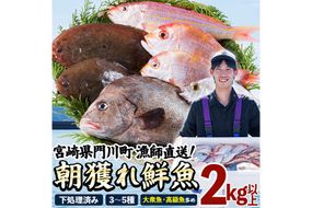 【北海道・離島配送不可】漁師直送！朝獲れ 季節の 鮮魚 詰め合わせ (上) (合計2kg以上・3～5種) 下処理済み 大衆魚 高級魚 未利用魚 冷蔵 BOX ボックス イカ 鯛 海鮮 魚介 食べ比べ 詰合せ 宮崎県産 【O-11】【門川漁業協同組合】