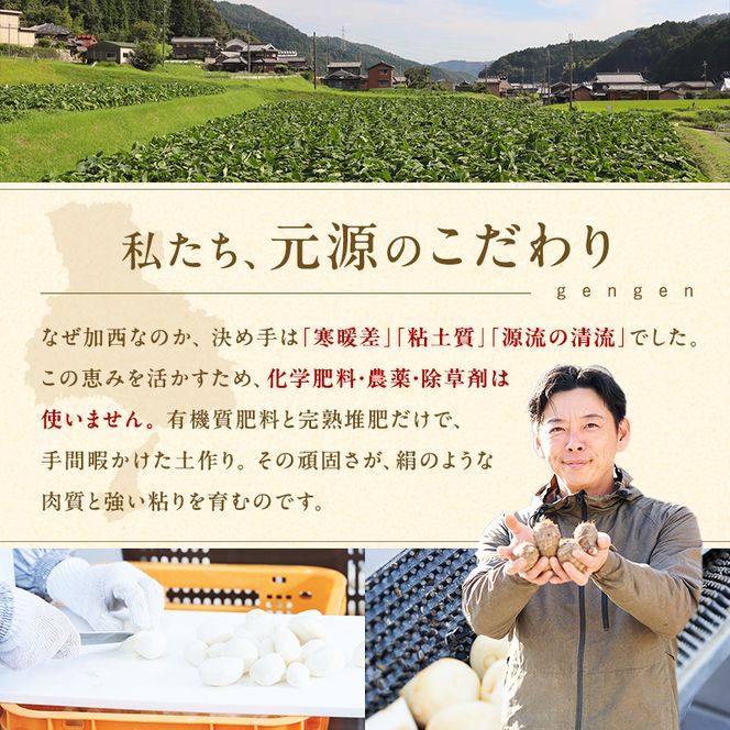 里芋 冷凍 小分け 絹里芋 220g 6パック 兵庫県産 野菜 根菜 粘り 一口サイズ 皮むき おつまみ 時短 おでん 煮物 おせち 味噌汁 冷凍野菜 栽培期間中農薬不使用 冷凍配送 取り寄せ 国産 さといも 個包装