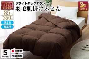 【春夏用】洗える 羽毛 肌掛け布団 シングル ホワイトダックダウン 85% 0.4kg (無地 ブラウン) [川村羽毛 山梨県 韮崎市 20743024] 掛け布団 布団 羽毛布団 ダウンケット ふとん 肌掛け ダウンケット 寝具