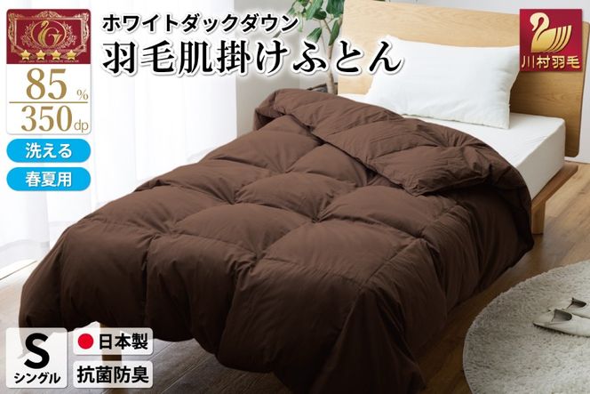 【春夏用】洗える 羽毛 肌掛け布団 シングル ホワイトダックダウン 85% 0.4kg (無地 ブラウン) [川村羽毛 山梨県 韮崎市 20743636] 掛け布団 布団 羽毛布団 ダウンケット ふとん 肌掛け ダウンケット 寝具 
