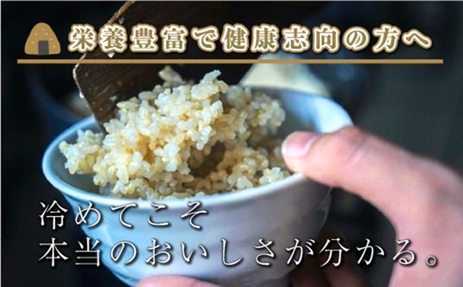 【令和8年産 先行予約】【定期便／全3回】玄米2kg 新潟県魚沼産コシヒカリ「山清水米」