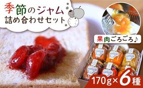 ジャムcafe可鈴 の 季節のジャム セット 6種 詰め合わせ 糸島市 / ジャムcafe可鈴[AOH003] 果物 くだもの 果肉 ギフト ジャム 詰め合わせ セット
