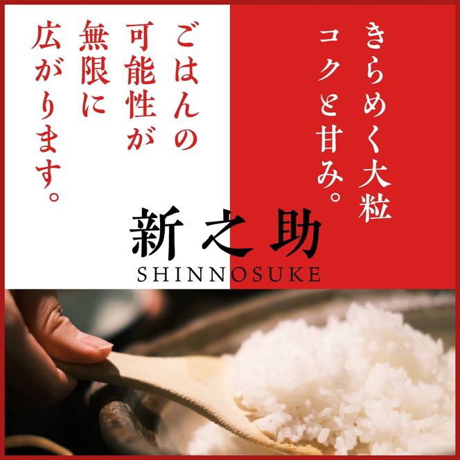 【最短1週間程度発送】令和8年産  新潟県上越妙高産 新之助 2kg