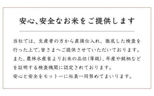 スピード発送!! 【 令和7年産 】 茨城県産 コシヒカリ 20kg ( 5kg × 4袋 ) 米 お米 白米 コメ こしひかり 茨城県 精米 新生活 応援 新米 スピード配送 [DK004ci]