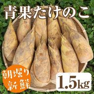 【土日祝着】＜先行予約受付中！2026年2月下旬以降順次発送予定＞朝堀り青果たけのこ(約1.5kg) 国産 新鮮 タケノコ 青果 竹の子 筍 野菜 春 旬 期間限定【上野食品】akn008-04-B
