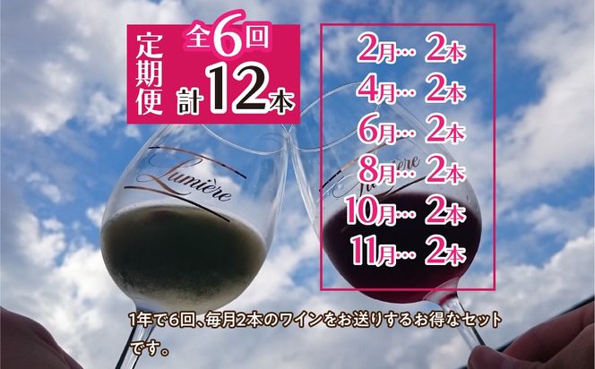 ルミエール ～ワイン定期便ハーフコース～ 063-006