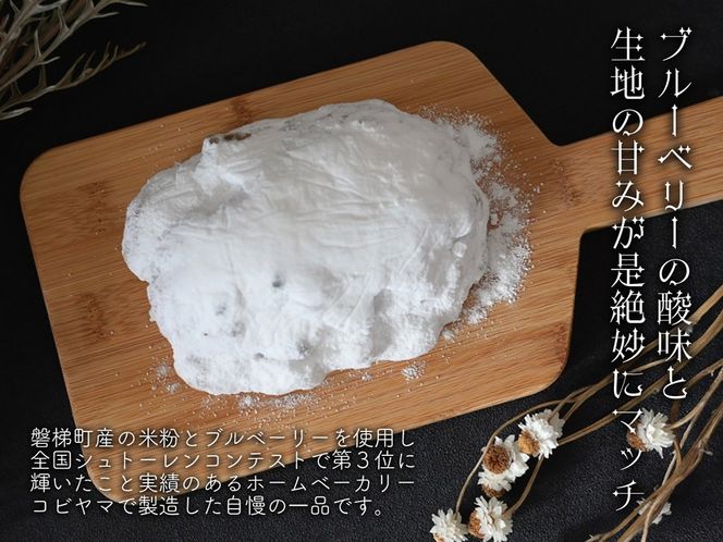 【クリスマスまでに発送】【予約】ブルーベリー シュトーレン （小） 250g前後×2個　※令和8年12月17日より発送