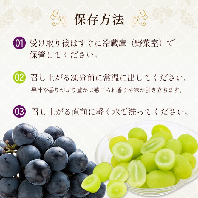 9月限定｜採れたて旬のぶどう 食べ比べ 約2kg（3～4房）シャインマスカット入り セット 詰め合わせ 産地直送 フルーツ 兵庫県 加西市
