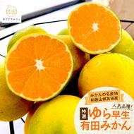 【先行予約】特撰 ゆら早生有田みかん 1.2kg(1kg+200g(傷み補償分))
