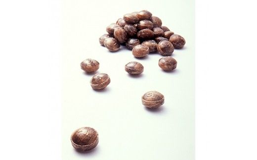 創業140年 のどにいちばん黒あめ那智黒セット(幸)【ncg100】