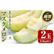【0222203a】まるまる育ったマスクメロン(2玉・計3.3kg以上) マスクメロン フルーツ 果物 果実 3キロ 数量限定 期間限定【まる美園芸組合】