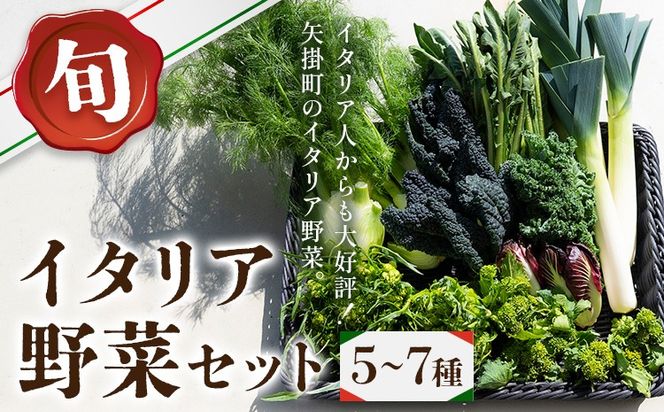 野菜 旬の イタリア野菜 セット 5～7種 《11月下旬-3月中旬頃出荷》JA晴れの国 矢掛アグリセンター 野菜 ねぎ ネギ 国産 イタリア リーキ プレコーチェ カタローニャ ルーコラ ズッキーニ トマト 玉ねぎ 西洋 送料無料---osy_cjyaibs_h113_26_10000_s---