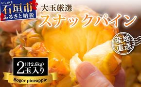 【先行予約】《2025年夏季 順次発送》石垣島産・スナックパイン、ずっしりの「大玉」2個入り SI-25