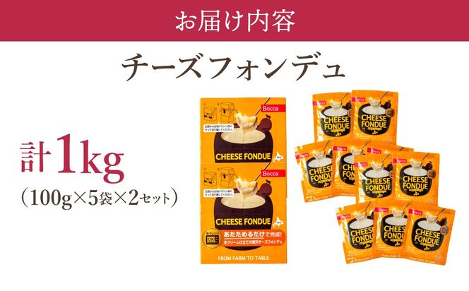 牧家のチーズフォンデュ100g×10袋｜北海道 伊達市 Bocca ナチュラルチーズ パルメザンチーズ パーティー【bca-005】
