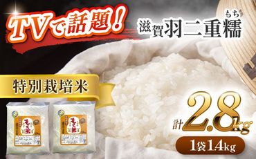 令和6年産　愛知県産滋賀羽二重糯　計2.8kg 1.4kg（1升）2袋セット　特別栽培米　もち米　ご飯／戸典オペレーター[AECT001]