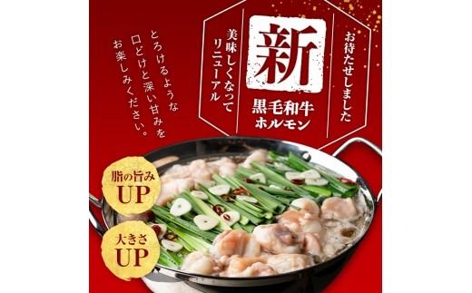 国産黒毛和牛ホルモン もつ鍋セット(10～15人前)  a7-028