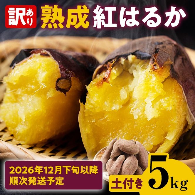 訳あり 紅はるか 熟成 紅はるか 5kg さつまいも 芋 サツマイモ 土付き サイズ色々 サイズ不揃い 九州産 焼き芋 やきいも 甘い デザート スイートポテト 生芋 おやつ デザート 野菜 いも