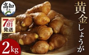 生姜一筋70年の生姜老舗問屋 黄金しょうが2kg - 【7日程度で発送】 早い スピード発送 7日程度 早く 届く 生姜 生産量日本一 おかず お料理 しょうが 料理 飲み物 Xnb-0007