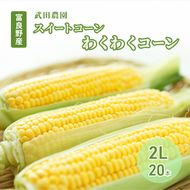 2026年夏発送 ［武田農園とれたて直送］スイートコーン わくわくコーン 2L 20本 みずみずしく抜群にあまい！北海道 富良野産 (とうもろこし 野菜 新鮮 とうきび 甘い 産地直送 先行予約 限定)