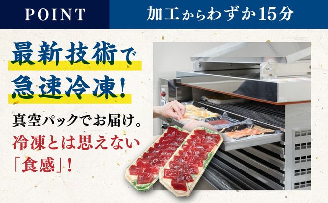 本鮪 赤身 お刺身用 切身 200g×2パック / 刺身 本マグロ マグロ まぐろ / 糸島市 / 塚本鮮魚店[ARO010]