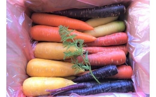 〈予約受付〉メディア出演多数！【期間限定】（お試し） 冬の寒さでぎゅっと濃い！虹色のカラフルにんじん 2kg H022-015