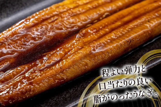うなぎ 国産 蒲焼 約160g 1尾 [駿河淡水 静岡県 吉田町 22424770] タレ山椒付き 真空パック 個包装 静岡県産 静岡 鰻 ウナギ 蒲焼き